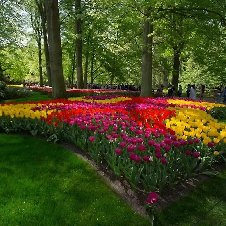 아파트 Blumen 노르트베이크