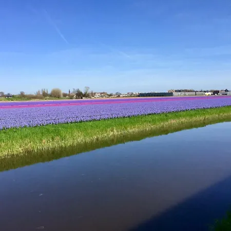 Blumen *