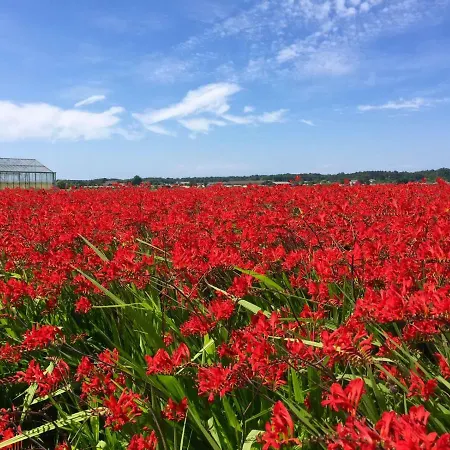 아파트 Blumen