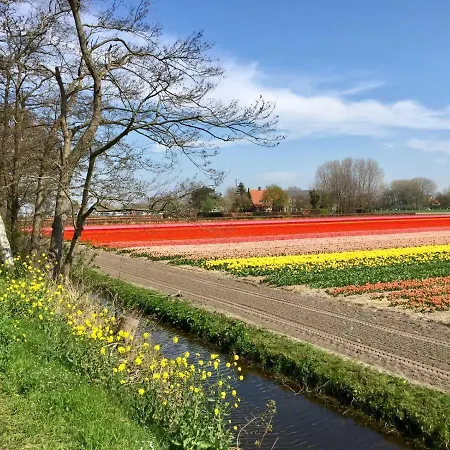 Blumen *